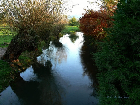 Chant d'automne 2012 (10)